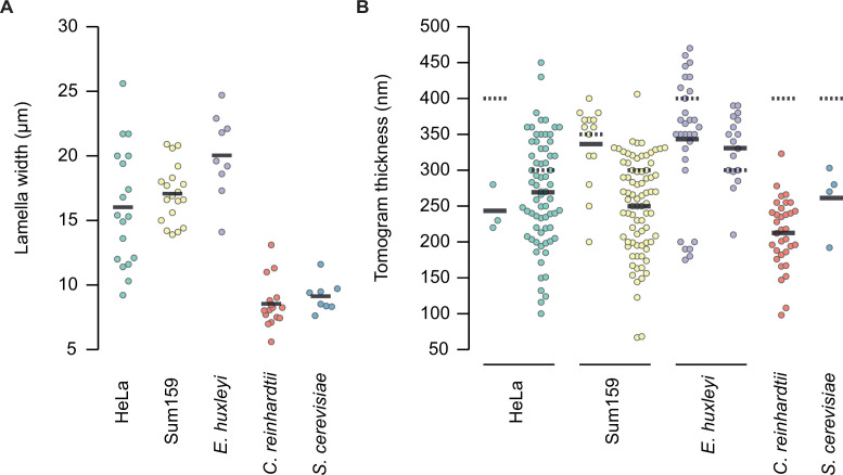 Figure 2—figure supplement 4.