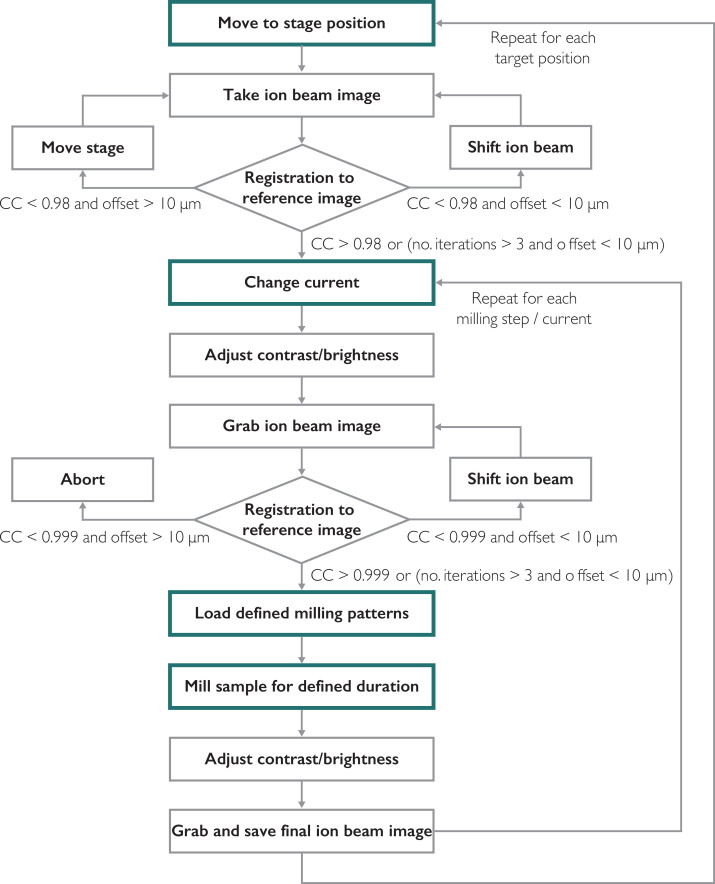 Figure 2—figure supplement 1.