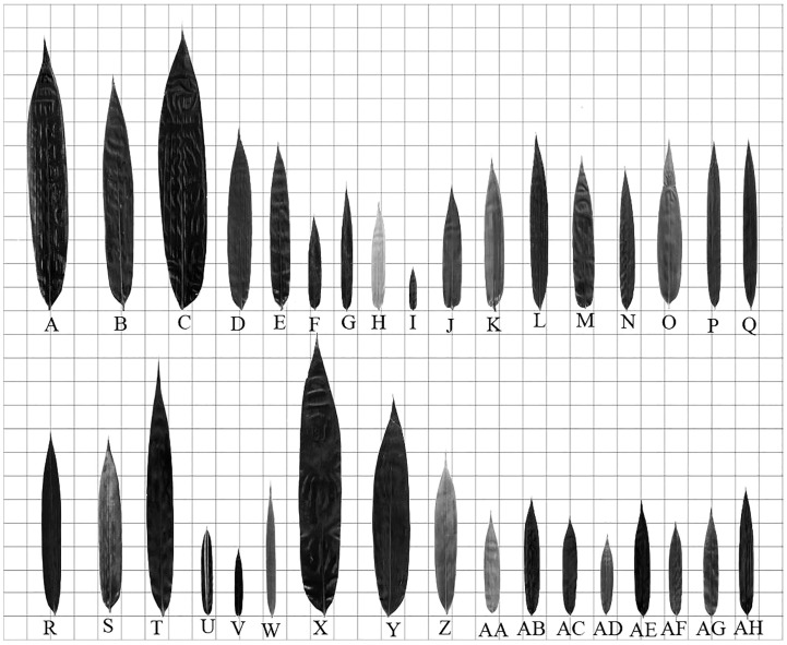 Figure 5