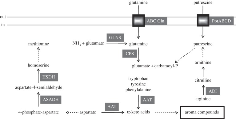 Figure 5.