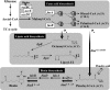 FIG 1
