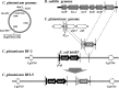 FIG 2