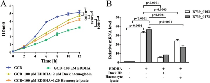 FIG 6