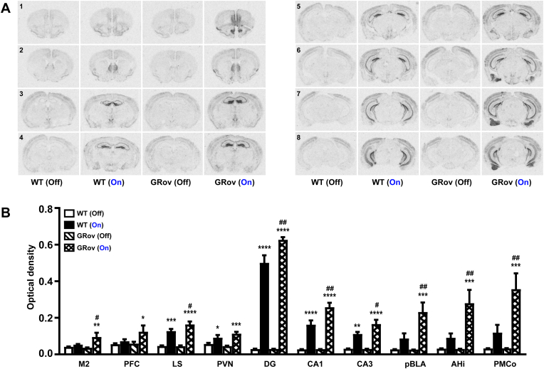 Fig. 4