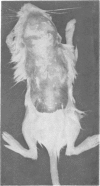 180