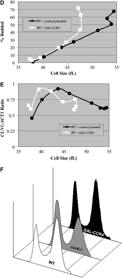 Figure 5.—