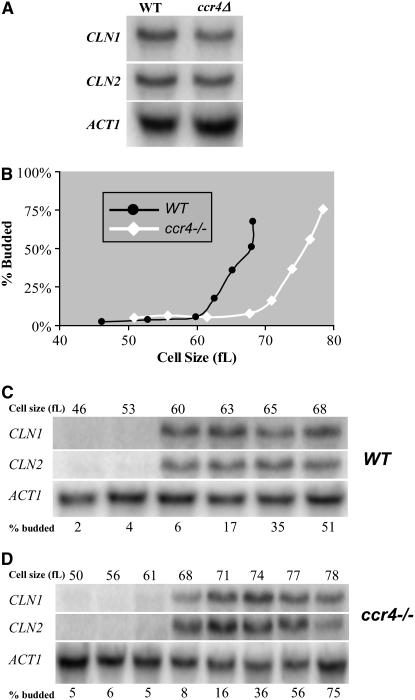 Figure 3.—