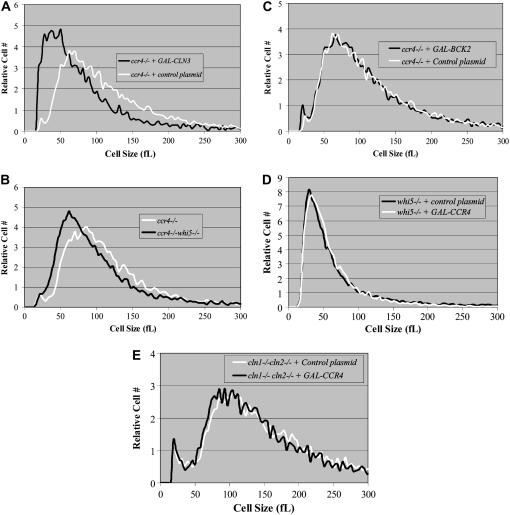 Figure 6.—