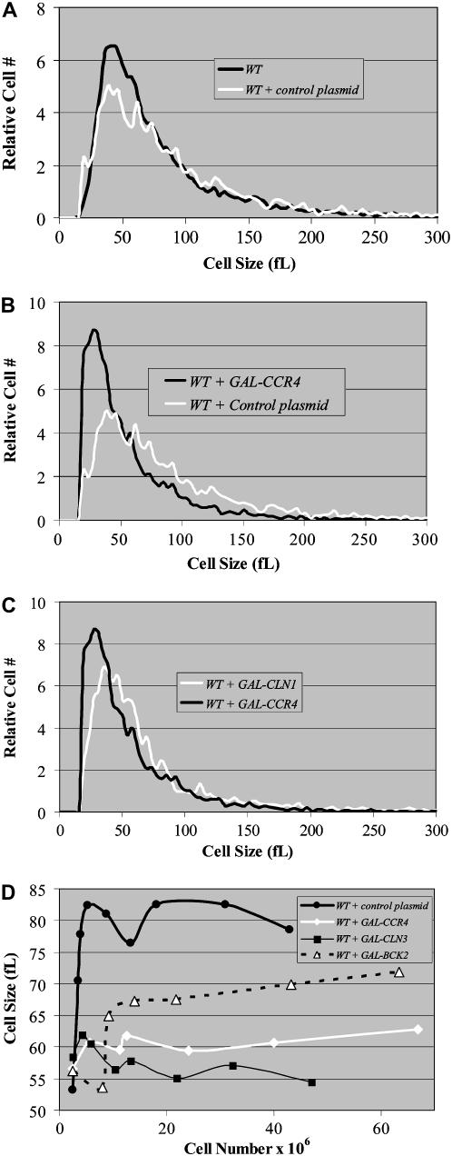 Figure 4.—