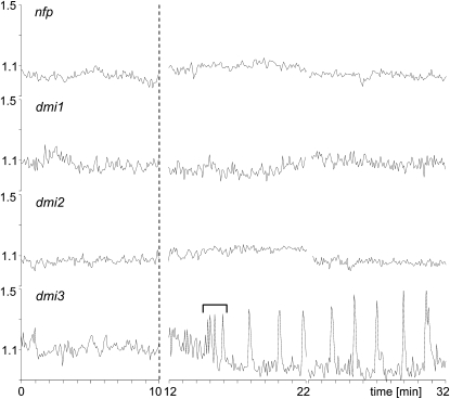 Figure 3.