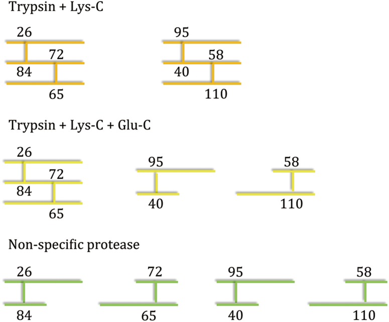 Fig. 2