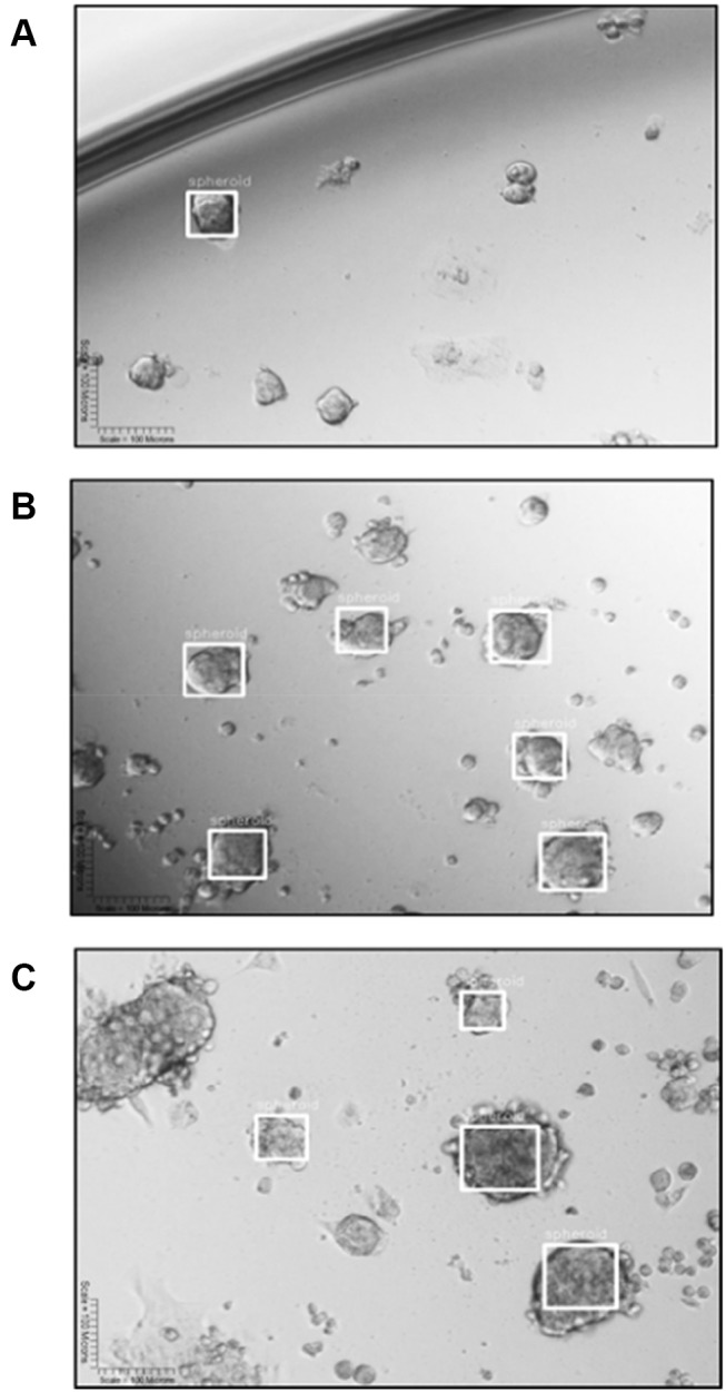 Figure 16