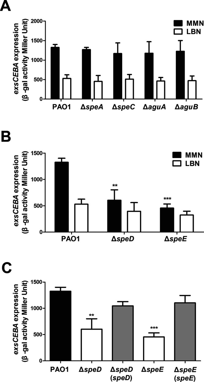 FIG 2