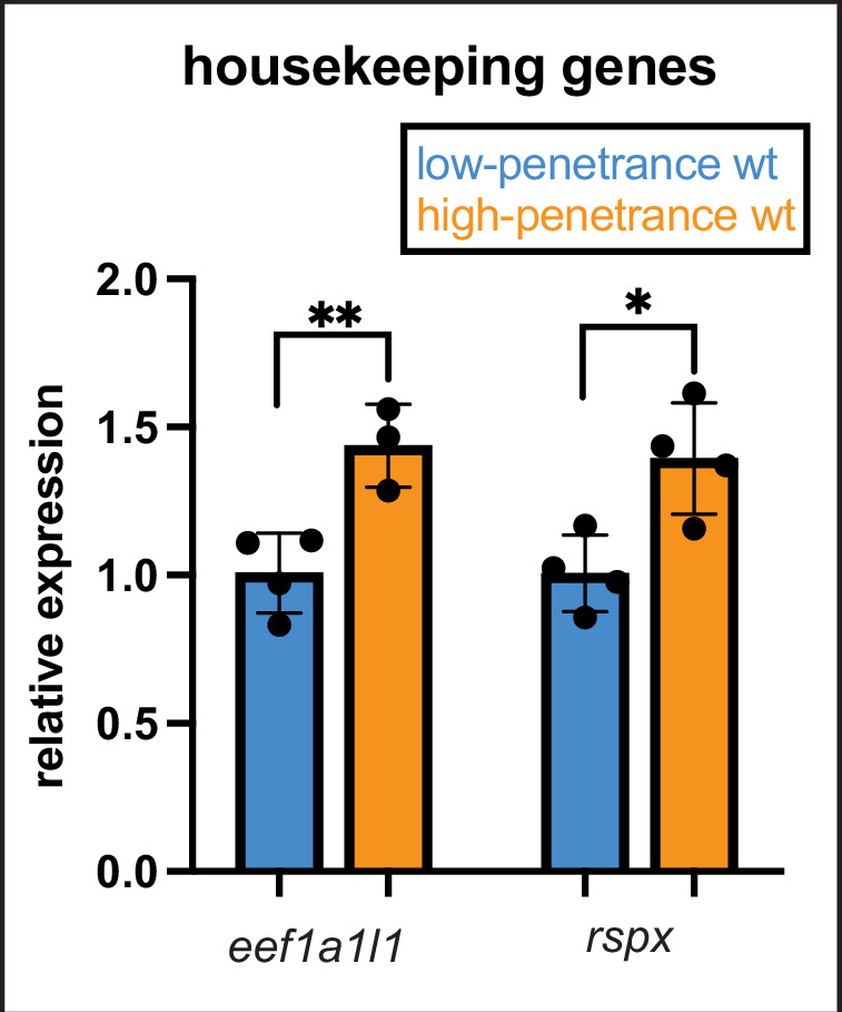 Figure 4—figure supplement 1.