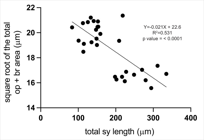 Figure 1—figure supplement 1.