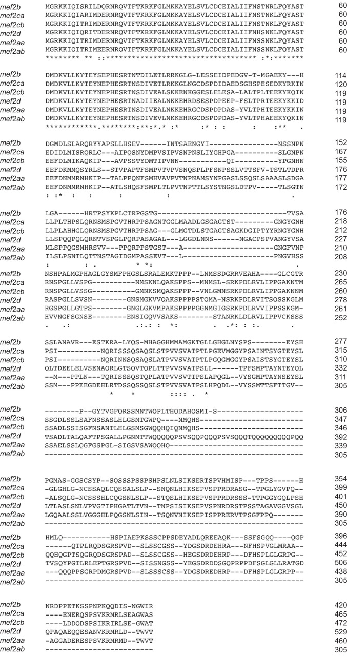 Figure 3—figure supplement 1.