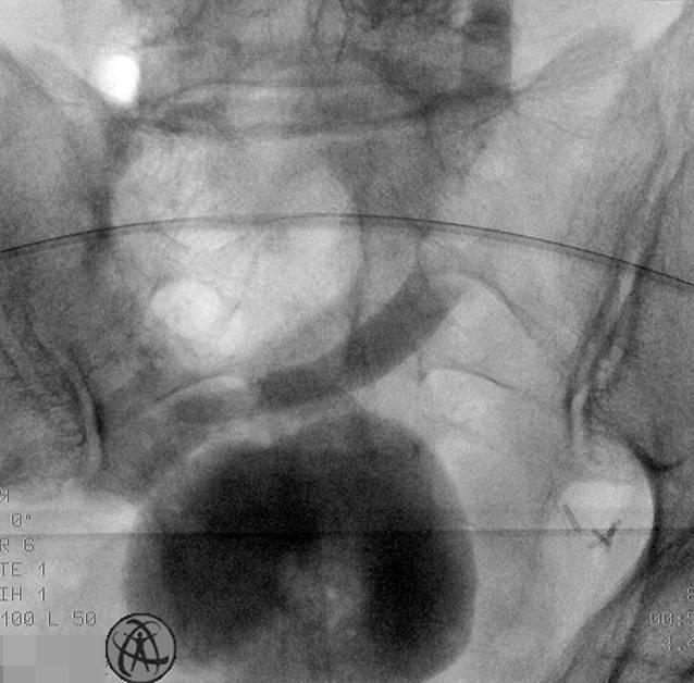 graphic file with name 120_2022_2013_Fig4_HTML.jpg