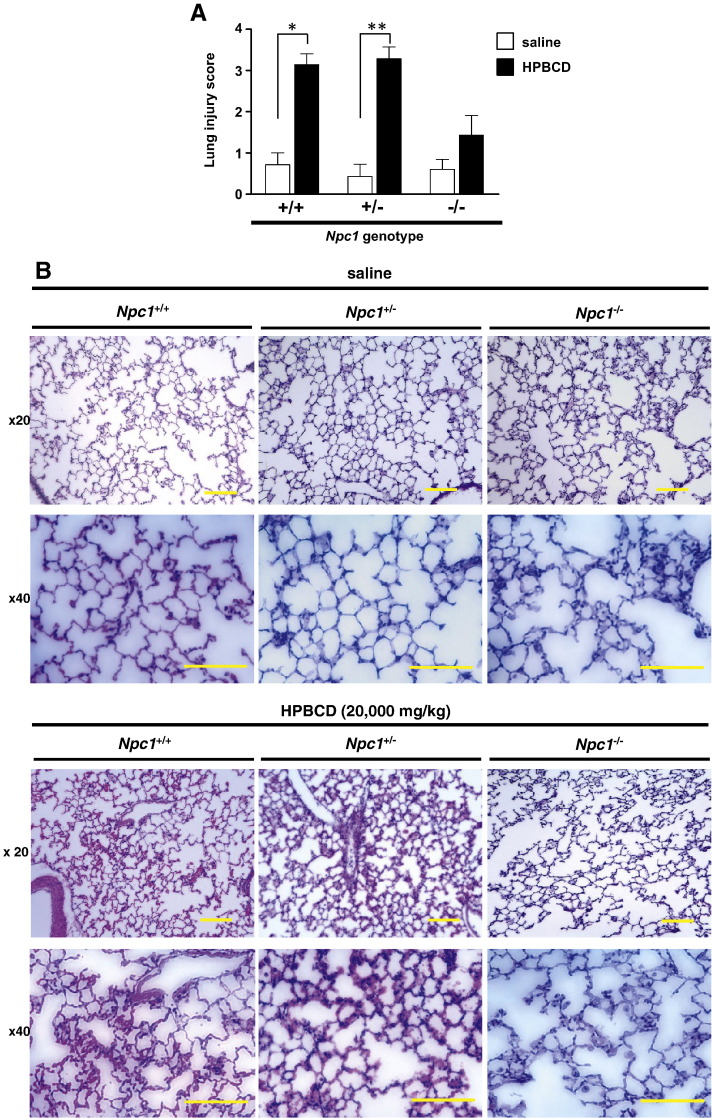 Fig. 4