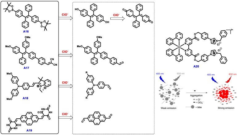 Scheme 3