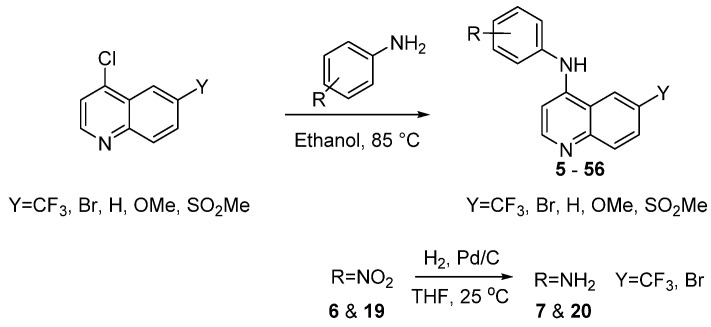 Scheme 1