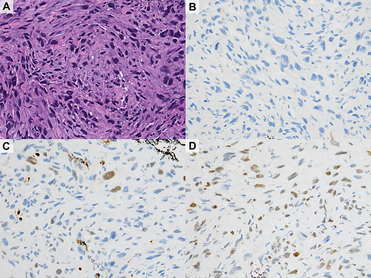 Figure 3.