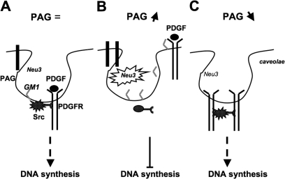 Figure 10.