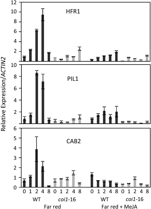 Figure 5.