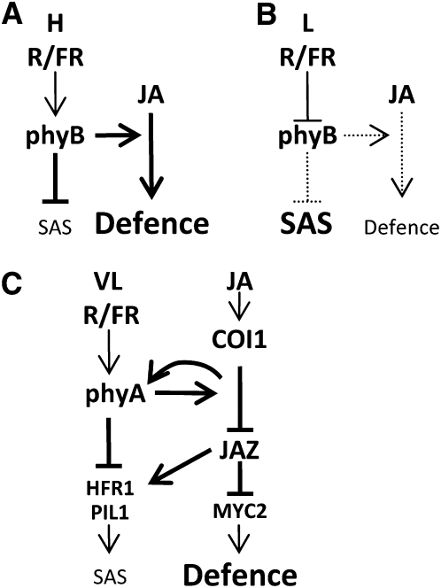 Figure 11.