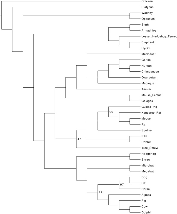 Figure 11