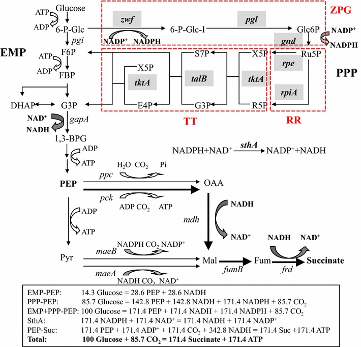 Fig. 1