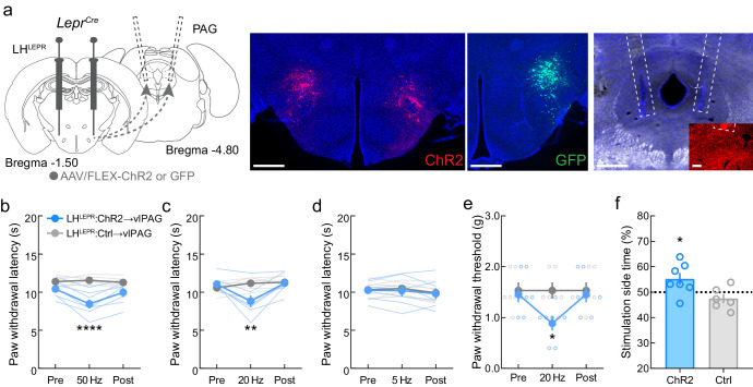 Figure 4—figure supplement 3.