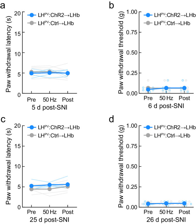 Figure 6—figure supplement 1.