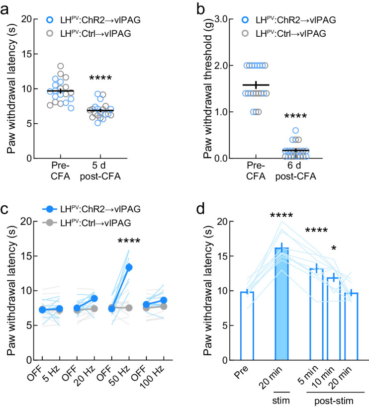 Figure 4—figure supplement 2.