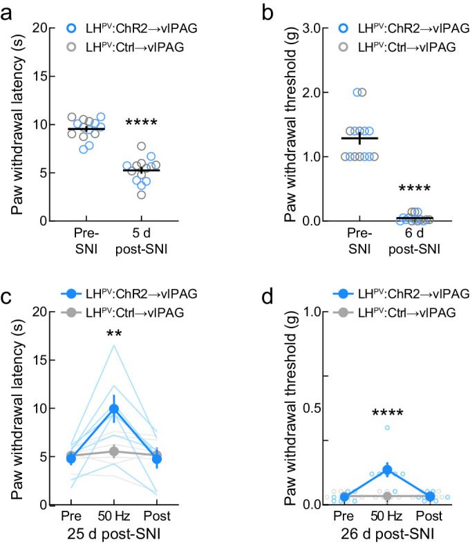 Figure 4—figure supplement 1.