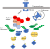 Figure 2