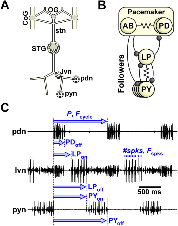 Figure 1.