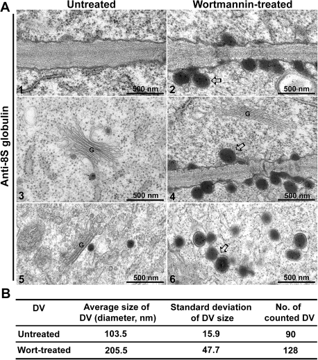 Fig. 11.