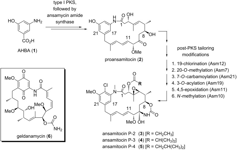 Scheme 1