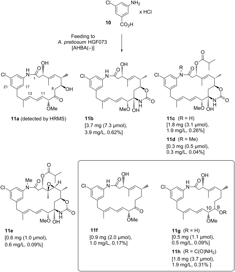 Scheme 2