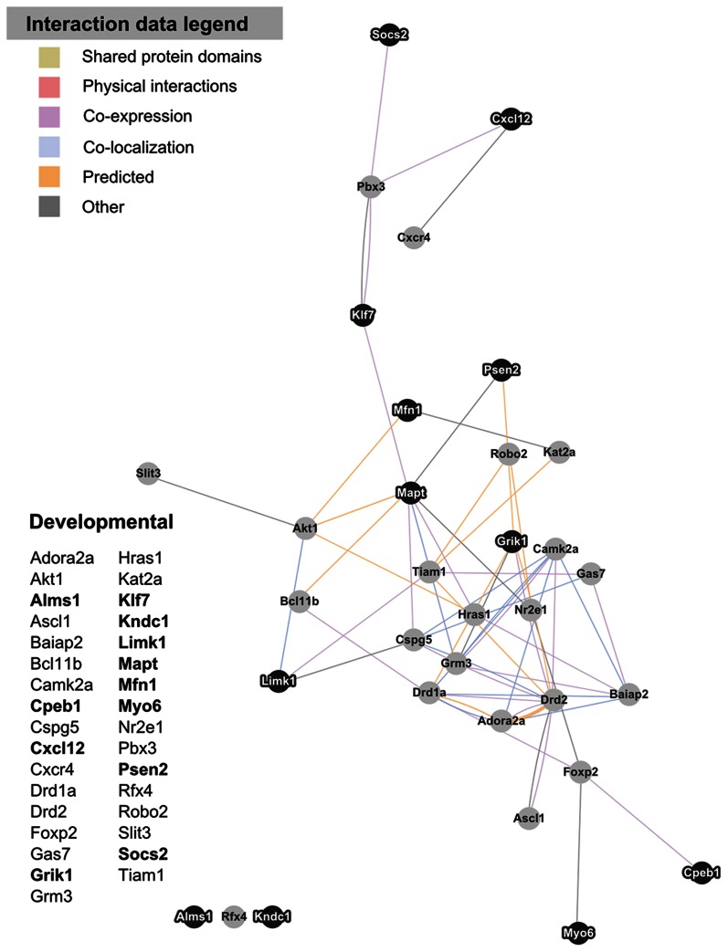 Figure 5