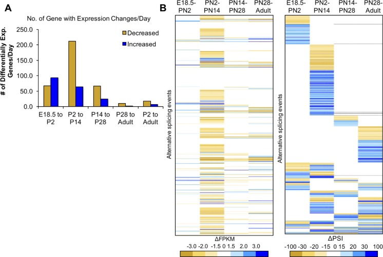 Figure 2—figure supplement 1.