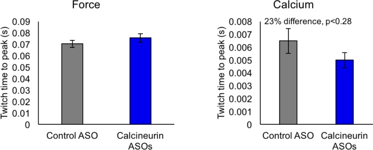 Figure 9—figure supplement 1.