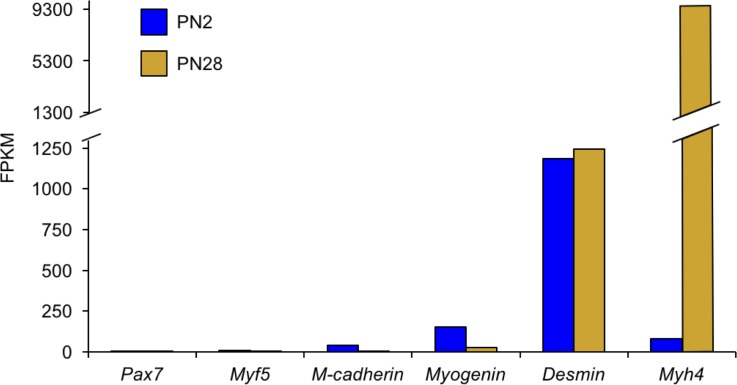 Figure 1—figure supplement 1.