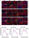 Figure 6