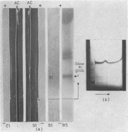 FIG. 8