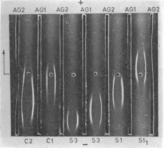 FIG. 12