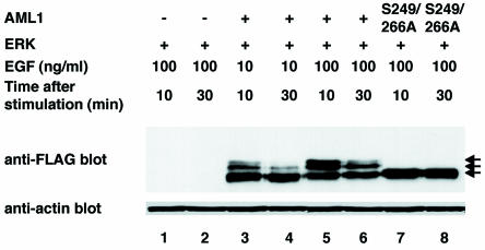 FIG. 7.