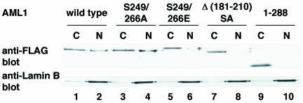 FIG. 5.