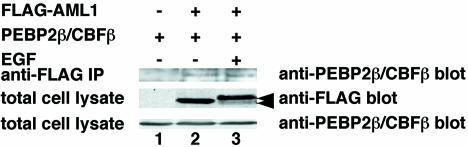 FIG. 9.