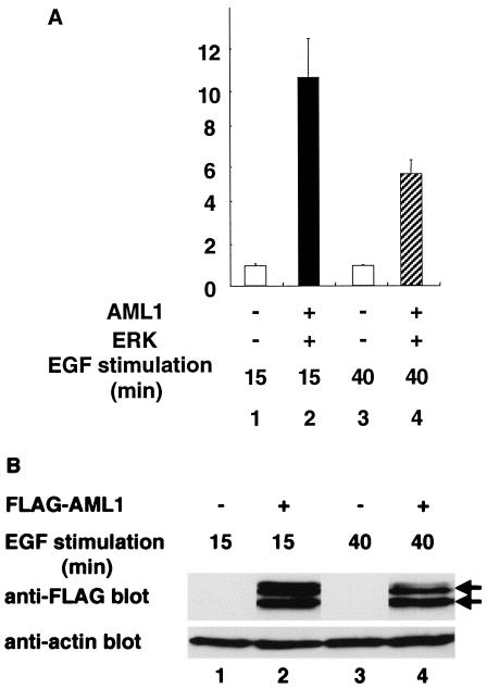 FIG. 11.